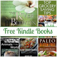 
                    
                        Free Kindle Book List: Top Grocery Saving Tips, The River Between, Dutch Oven Cooking, and More
                    
                