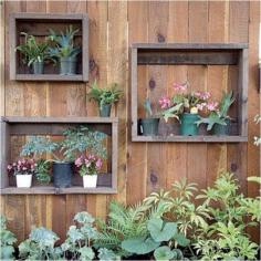 gardening fence ideas | DIY Shadow Boxes On A Fence