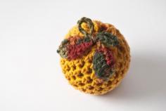 
                    
                        Golden Delicious Apple/Fruit Cozy  US Shipping by HandmadeHealth
                    
                