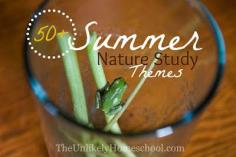 
                    
                        50+ Summer Nature Themes {The Unlikely Homeschool}
                    
                