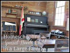 
                    
                        Homeschooling a Special Needs Child in a Large Family
                    
                