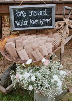 
                    
                        Watch love grow! Living plants are a great favor that guests can take home and enjoy long after the wedding is over. Wedding Favors, Summer Wedding Ideas, Unique Wedding Favors
                    
                