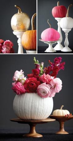 Pretty pumpkins.  Maybe not paint it white but to plant some fall flowers in would be so pretty. This is a good idea! If the pumpkins are still fresh by Nov