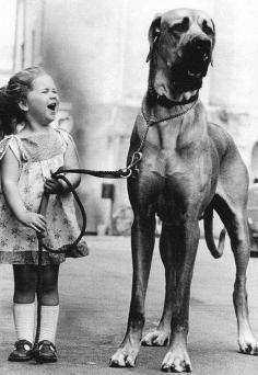 Little girl and a wonderful Great Dane share a laugh. Love it #greatdane
