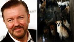 Ricky Gervais urges fans to help stop China dog meat trade | Fox News