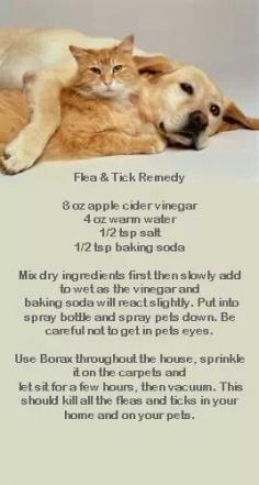 Homemade flea and tick remedy