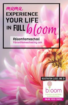 
                    
                        bloom: Top homeschool bloggers agree that homeschoolers need this online video course. Will you join us?
                    
                