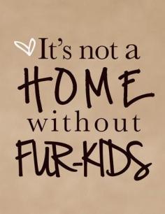 So true.  I say Fur babies :)