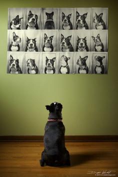 Cute idea for a photo collage.