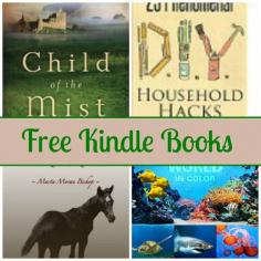 
                    
                        Free Kindle Book List: Child of the Mist, DIY Household Hacks, Dinky, and More
                    
                