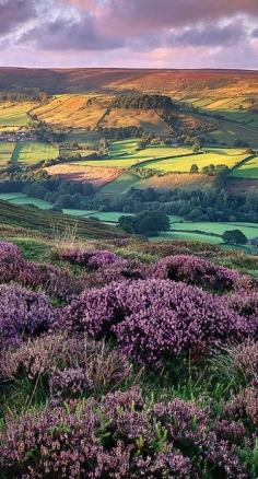 The beautiful english countryside ~ North Yorkshire, England