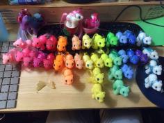 
                    
                        Rainbow of DG babies.
                    
                