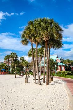 
                    
                        Disney&#39;s Caribbean Beach Resort
                    
                