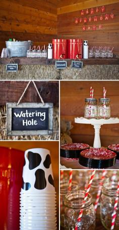 Barnyard Party: Watering Hole Drink Station