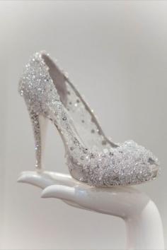 
                    
                        Cinderella's shoe
                    
                