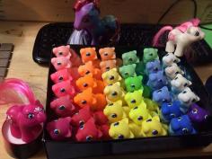 
                    
                        Rainbow of DG babies.
                    
                