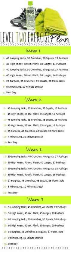 To Insanity & Back: Level TWO Exercise Plan