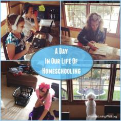 
                    
                        Today I'm sharing: - a look into a day in our life of homeschooling -my plans for next year -my thoughts on public and private school and… -one regret I have from this year…
                    
                
