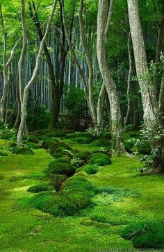This green!! Moss garden