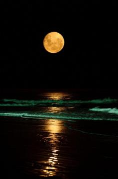 Magicalnaturetour:  Luna by [luis] on Flickr.~ A Beautiful Moon for You :)!!! Amazing reflections of full moon rising over the ocean!!!