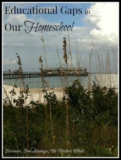 Learning gaps in our homeschool and what we can do about them.