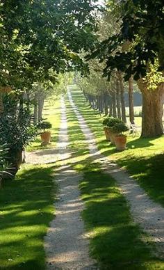 Avignon, Provence, France. Parce que l'important, c'est le chemin