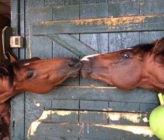 barn kisses!