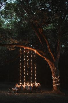 Outdoor dinner with dropped string lights