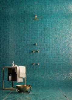 Turquoise tile shower with brass hardware