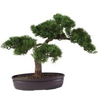 Small but mighty, the 16-in. Cedar Bonsai Silk Tree adds a soft touch of elegance to any room. Both the delicately crafted leaf pattern and the carefully designed branches make it popular gift item and a fine choice for table top or desk top decoration. Designed for indoor use, it's ideal on a foyer table or in your home office. Encased in an oval container filled with artificial soil, this bonsai tree brings a sense of peace and tranquility to any space. About Nearly Natural Inc. For over 75 years, Nearly Natural Inc. has been providing conscientious consumers with beautiful alternatives to natural decorations. Employing and advised by naturalists who understand the live plant world, Nearly Natural is able to recreate the most realistic-looking decorative items for homes, offices, and businesses. Driven by a true commitment to customer service, attention to detail, and natural philosophy, Nearly Natural strives to bring customers the most beautiful, unique, and striking faux fauna and flora on the market. Faux Bonsai tree looks strikingly realistic Artfully trimmed to be as stunning as the real thing Natural looking trunk and exposed roots Low profile pot makes it ideal for tabletops Designed for indoor use Pot: 11L x 7W x 3H in. Overall: 16H, 4 lbs.