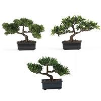 Set of 3 faux bonsai trees are strikingly realistic. Artfully trimmed to be as stunning as the real thing. Natural looking trunk and exposed roots. Low profile pot makes them ideal for tabletops. Designed for indoor use. Pot: 6L x 4W x 2.5H in. Overall: 12H, 3 lbs. (ea). Bring a peaceful feeling to several rooms of your home with the 12-in. Bonsai Silk Tree Collection - Set of 3. Artfully sculpted and highly detailed to look like the real things, these little bonsai trees are sized just right for tabletops and require no maintenance or upkeep from you. They're designed for indoor use and feature strikingly realistic trunks and roots. Each stands about 12 inches tall and lives in a decorative little pot. About Nearly Natural Inc. For over 75 years, Nearly Natural Inc. has been providing conscientious consumers with beautiful alternatives to natural decorations. Employing and advised by naturalists who understand the live plant world, Nearly Natural is able to recreate the most realistic-looking decorative items for homes, offices, and businesses. Driven by a true commitment to customer service, attention to detail, and natural philosophy, Nearly Natural strives to bring customers the most beautiful, unique, and striking faux fauna and flora on the market.