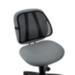 From Fellowes' Office Suites Collection the Mesh Back Support reduces tension in your body by maintaining the lumbar curve of your lower back. Designed to attach easily to any chair this back support gently conforms to your body's contours for uniform support that improves your posture and helps you stay comfortable. Since it is crafted from a unique mesh fabric this support promotes airflow to keep you cool and further enhance your personal comfort. Easily attaches to any chair. Gently conforms to your body's contours to provide uniform support. Mesh fabric allows airflow for personal comfort. Color: Black. Dimensions: 5 x 17.8" x 15".