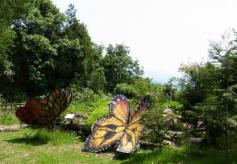 Nature Theatre and Ecological Garden