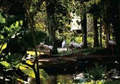 Special Programmes | Bali Bird Park