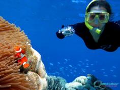 Getting close for a photo with the clownfish