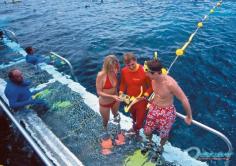Getting ready for a snorkel with the pontoon lifesaver