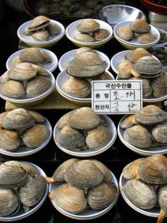 Image result for south korean seafood oyster