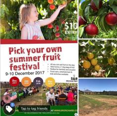 S&R Orchard Summer Fruits Picking Festival Perth