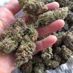 We are the best reliable online marijuana dispensary in the USA.  Created to ship extremely potent pot around the world. Buy Weed Online usa  . Generally  Buying weed online has been distinguished by the superior quality of our products and by our overall focus on wellness.