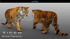 3D Tiger Animal Character Modeling  Vancouver, Canada

3D Tiger Animal Character Model fully rigged and sculpted made with Maya with hair and fur simulation in 3Ds Max by GameYan Studio

http://www.gameyan.com/3d-character-modeling.html