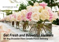 Engage Canada Floral Delivery for beautiful, long-lasting flowers for your special occasions. We offer our services with a 100% satisfaction guarantee and also provide the best solutions according to your budget.