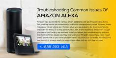 For more information or in case you are facing any other issues or you not able to do the above mentioned troubleshooting steps, then please contact our Amazon Alexa Tech Support team which is professionally trained for customer assistance. 