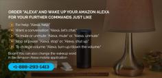 Are you facing issues with your Amazon Alexa setup, then you can take direct assistance from our professionally trained Amazon Echo Tech support team which will guide you best step by step. 