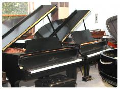 Platinum Piano Removals are fully insured, professional and reliable piano movers in Perth, AU. Our highly trained and experienced movers provide great care in handling your precious instrument. For more information visit our website: http://www.platinumpianorelocations.com.au/