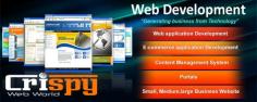 Crispy web world is a leading web development company in Patiala, India, offering quality website design and development service at affordable price. We are also expert in SEO services.  http://www.crispywebworld.com/