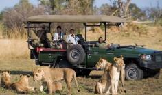 Home to Africa Tours and Travel is one of the best African Safari Tour Companies across Uganda and the entire East Africa. We offer affordable tours in Rwanda and Uganda. Book your African Safari Vacation with a high rated and licensed travel and tours company.