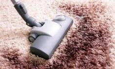 All our cleaning products are created in such a way that they leave no stain and are safe for kids & pets. From time-saving maintenance service to restorative cleanings, we take care of all your carpet cleaning needs.