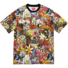 Supreme Dream S/S Top – Streetwear Official