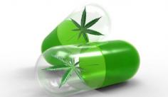 Rely on CBD 12 Energy Pills and bid the last bye to all health problems!

Cannabidiol or CBD is now available in numerous forms in the market. The effectiveness of CBD is found in numerous studies. For more details please visit at https://cbdinit.com/rely-on-cbd-12-energy-pills-and-bid-the-last-bye-to-all-health-problems/