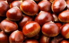 Hot chestnuts at Mt Claremont Farmers Market Saturday 1st June, 15th June, 29th June and 27 July 2019